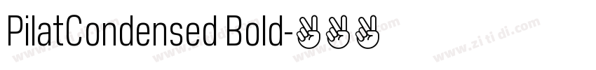 PilatCondensed Bold字体转换